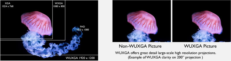 lu935st wuxga