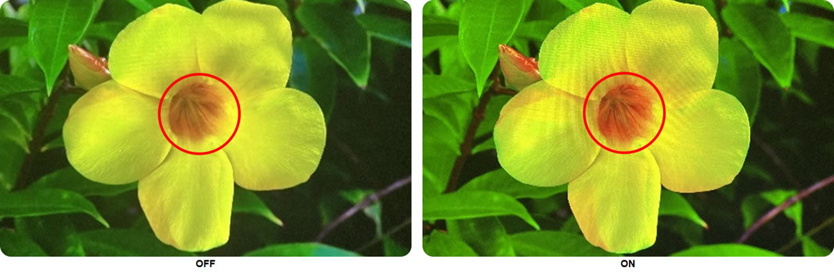 EH-LS670B Enhancement