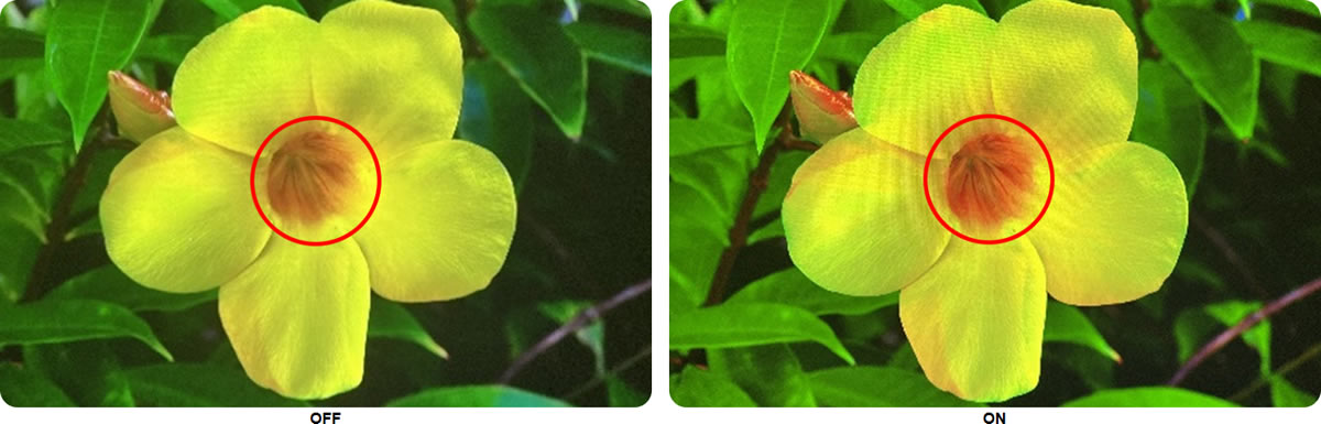 EH-LS970B Image Enhancement