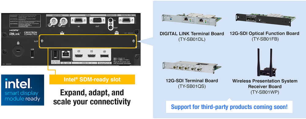panasonic ptreq10be SDM Slot